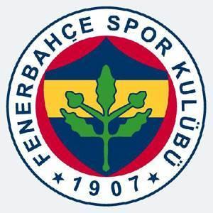 Fenerbahçe: Türkiye Liginin en zengin kulübü olan Fenerbahçenin toplam değeri yaklaşık olarak 150 milyon avro. Şampiyonluğu iki sezondur son haftalarda kaybeden Fenerbahçenin yedek kulübesinin değeri ise yaklaşık 60 milyon avro. Andre Santos, Bilica, Baroni, Semih Şentürk, Gökhan Ünal, Daniel Güiza, Uğur Boral ve Özer hurmacı yedek kulübesinde oturan yıldızlar.