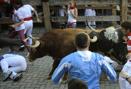 İspanya'da San Fermin festivalinde yine insanlar şenlik yaptığına inandı ama ortaya çıkan manzalar aslında kimin bayram ettiğini gösterir nitelikte.