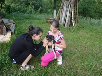 AUPAIR'LİK (ÇOCUK BAKICILIĞI) "Aupair" sisteminin amacı ekonomik ve güvenilir şartlarda bir aile yanında kalarak, ev işleri ve çocuk bakımına yardımcı olarak dil öğrenmektir. Yurtdışında au pair olabilmek için 18-27 yaşında, en az lise mezunu ve bekar (evlenip boşanmamış) olmanız gerekmektedir.