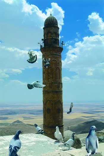 Gençleri ve gençlik alanında çalışan sivil toplum kuruluşlarını bir araya getirecek olan GAPGENÇ Festivali, 8-11 Mayıs tarihlerinde Mardinde düzenleniyor.