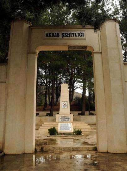 Her santimetresi şehit kanı ile sulanan Çanakkale'de orman yangını sonra kesilen ağaçlar, vatanları için kahramanca dövüşen Mehmetçilerin kemiklerini ortaya çıkarttı. İşte fotoğraflar...