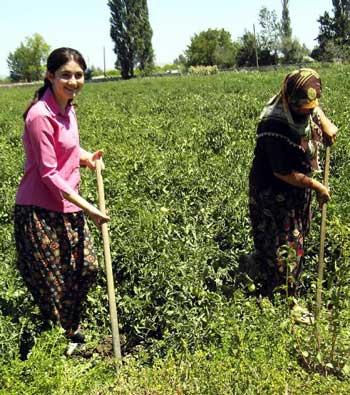 Pınar Aydın OKS'de birinci olan 97 öğrenciden biri