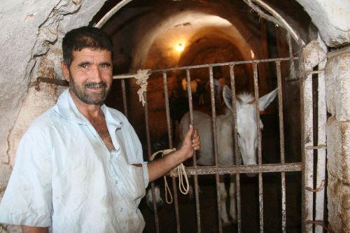 Vatandaşlardan Selman Güneş, Mardin sokaklarının merdivenli olmasından dolayı İtalya'dan gelecek eşeklerin bu merdivenleri çıkamayacağını, belediyenin yanlış yaptığına inandığını söyledi. Güneş, eşeklerin Mardin'e ayak uyduracağını inanmadığını ifade etti.