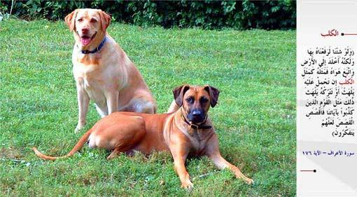 KÖPEK- "Dileseydik elbette onu bu âyetler sayesinde yükseltirdik. Fakat o, dünyaya saplandı ve hevesinin peşine düştü. Onun durumu tıpkı köpeğin durumuna benzer: Üstüne varsan da dilini çıkarıp solur, bıraksan da dilini sarkıtıp solur. İşte âyetlerimizi yalanlayan kavmin durumu böyledir. Kıssayı anlat; belki düşünürler." (el-Araf / 176)