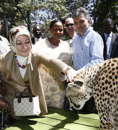 Cumhurbaşkanı Abdullah Gül, eşi Hayrünnisa Gül, Devlet Bakanı Said Yazıcıoğlu, Ulaştırma Bakanı Binali Yıldırım ve heyettekilerle Nairobi Ulusal Parkı'n çitaların bulunduğu kafese girdi ve çita sevdi...