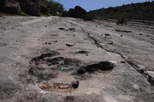 Türkmenistan'da dinozorlara ait, 145 milyon yıllık ayak izi bulundu.