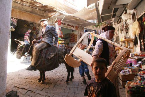 Mardin Belediyesi Fen İşleri Müdürlüğü'ne bağlı olarak çalışacak eşekler kadrolu olacak.