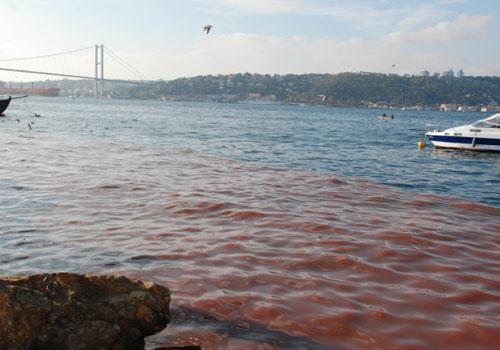 İstanbul'da önceki yıllarda çok tartışılan görüntüler denetimlere rağmen bu senede belli yerlerde yaşanırken, Boğaz'da istenmeyen 'o' görüntünün önüne de geçilememiş oldu.