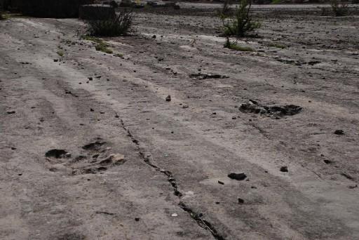 Türkmenistan'da dinozorlara ait, 145 milyon yıllık ayak izi bulundu.
