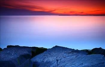 Ürün adı: Fotoğraflar

Getirdiği yıllık kazanç (2010): 62.863.88

Miktarı: 522

İhraç edilen ülkeler: İsviçre, İngiltere, Suriye