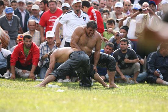 Kocaeli Büyükşehir Belediyesinin ilkini düzenlediği Sekapark Altın Kemer Yağlı Güreşlerinde 58i başpehlivan 567 pehlivan altın kemer için yarıştı.