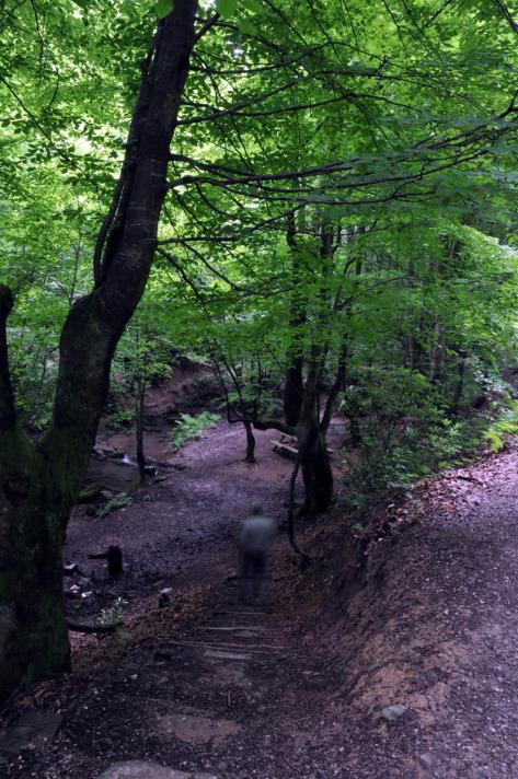 ZONGULDAK