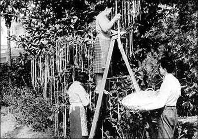 Yıl 1957... BBC'nin saygın haber programı Panorama, ılık geçen kış nedeniyle ağaçlarda artık spagetti yetişmeye başladığını duyurdu. Bunun ardından köylülerin artık ağaçlardan spagettinin hasadını yapmaya başladığı açıklandı. Bir anda televizyon kanalına telefon yağmaya başladı, tüm izleyiciler kendi spagetti ağaçlarını nasıl yetiştirebileceğini soruyordu. Telefonu açan BBC yetkilileri de 'bir kutu domates soslu spagettiyi ekin ve tutması için dua edin' yanıtını veriyordu. Sonunda bunun bir şaka olduğu anlaşıldı.