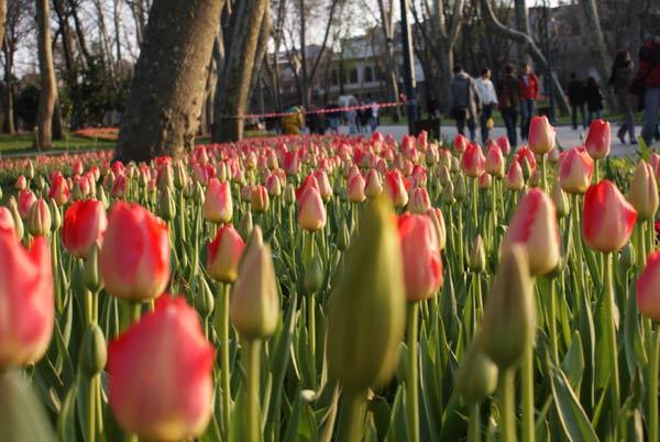 Gülhane Parkı