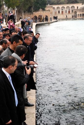 AK Parti Genel Başkanı ve Başbakan Recep Tayyip Erdoğan'ın Şanlıurfa mitinginde izdiham yaşandı. Erdoğan, aşırı kalabalıktan dolayı Şanlıurfa'daki miting alanına giremedi