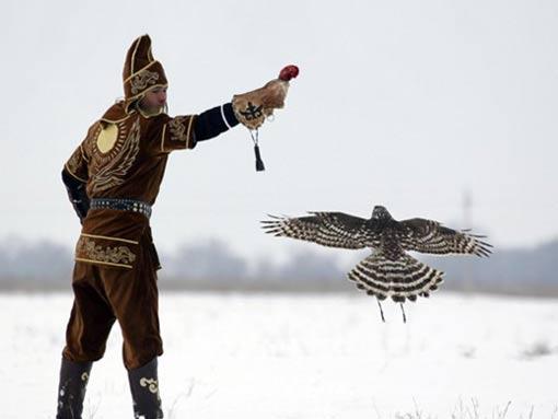 Kazakistan'da "kartallarla avlanma" yıllardır süren bir gelenek. Özel olarak eğitilen kartallar, keskin gözleri ve güçlü pençeleriyle avını yakalıyor.