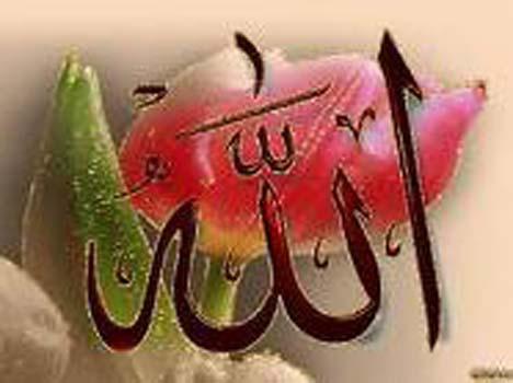 <p><span style="text-decoration: underline;"><strong>(Allah’ım, sana dua edilince kabul ettiğin, bir şey istenince verdiğin,  musibet ve sıkıntıların kalkması istenince kaldırdığın ismin hürmetine,  senden istiyorum.) [İbni Mace]</strong></span></p>