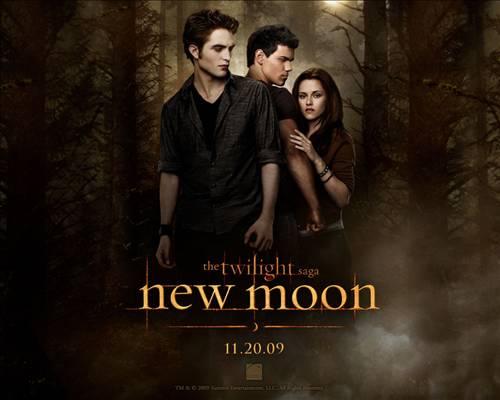12.Alacakaranlık Efsanesi: Yeni Ay
Vizyon tarihi:   20.11.09
Vizyonda kaldığı hafta sayısı:  12
Filmi seyreden kişi sayısı:  1,225,550