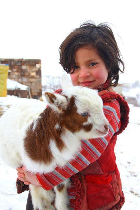 KINALI OĞLAK MİNİK MELEK'İN KÜÇÜK OYUNCAĞI FOTOĞRAF: GEYLANİ ADIYAMAN
