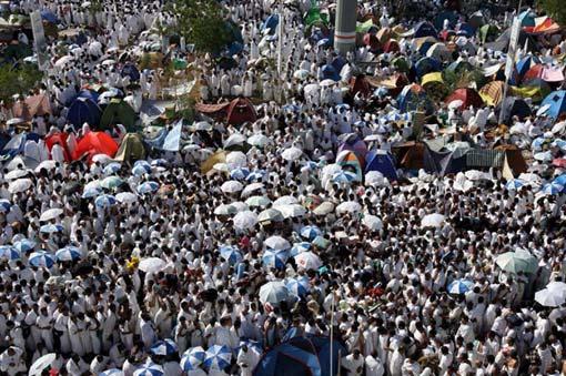 Arafat'ta insan seli