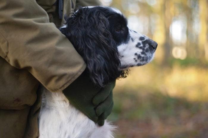 İngiltere'de her yıl düzenlenen British Wildlife Fotoğraf Ödülleri sahiplerini buldu. Bu yılın birincisi,Sula Sgeir denilen küçük ve ıssız bir İskoç adasında çektiği denizanası fotoğrafıyla Richard Shucksmith oldu. İşte yarışmada dereceye giren vahşi yaşamın içinden etkileyici kareler