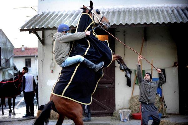 Yılın Foto Röportajı Üçüncüsü
Berk Özkan  Anadolu Ajansı