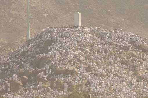 Arafat'ta insan seli