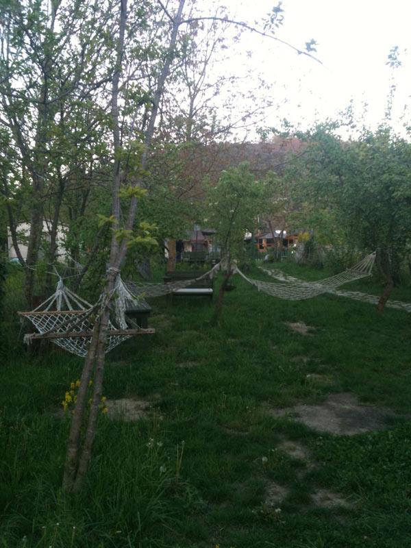 Mangal keyfi yapacağımız mekândan bir enstantane
