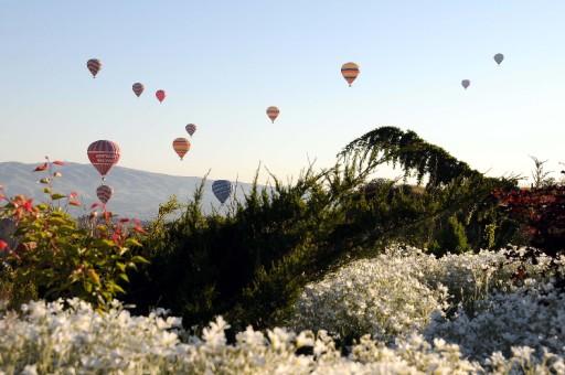 Nevşehir'de dün İngiliz turistleri taşıyan balonun düşmesi sonucu 1 kişinin öldüğü ve 10 kişinin yaralandığı kazanın ardından bölgede balon uçuşları devam etti.
