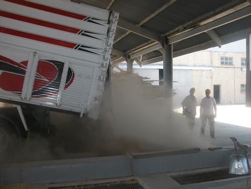Toprak Mahsülleri Ofisi, Edirne Şube Müdürlüğü siloları şimdiden doldu. Kamyonlarla buğday boşaltılıyor.