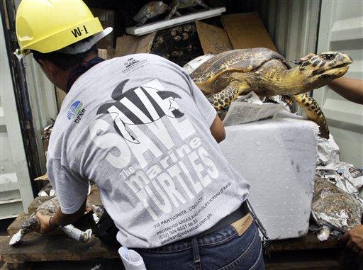 Dünya Vahşiyaşamı Koruma Derneği yetkilileri, deniz canlılarının özellikle Hongkong, Çin, Filipinler, Tayvan, Endonezya, Singapur, Malezya, Tayland, Vietnam ve Burma Çin restoranlarında özel müşterilere özel lezzet olarak sunulmak için yaşadışı pişirilerce kaçırıldığını ve bunun yanı sıra bu hayvanların uyuşturucu özelliğine sahip ilaç  yapımında kullanıldığını açıkladılar...