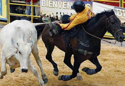 Rodeo esnasında yaşanan tehlikeli anlar...