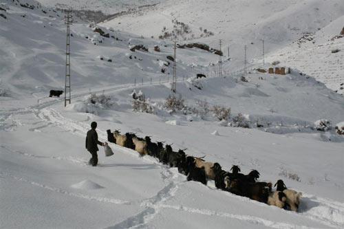 İkinciliğe layık g&ouml;r&uuml;len eser Burhan Şen