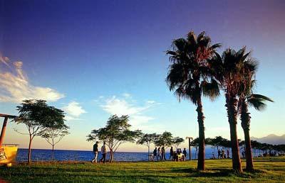 BEACH PARK
Bir eğlence parkı
Antalyanın Konyaaltı sahilinde yer alan Beach Park restoranı, su parkı, plajı, diskosu, barı ve konser alanı olan büyük bir kompeks. Fasıl da düzenleniyor, büyük rock konserleri de. Antalyalıların en sevdiği mekanlar arasında ilk sırada geliyor.