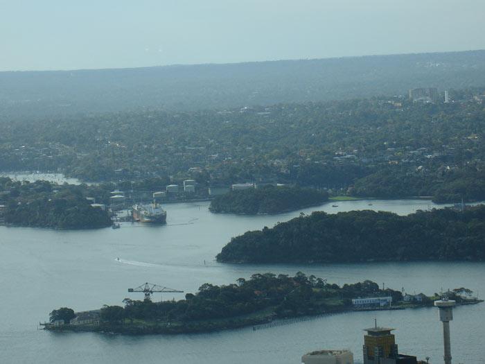 Siydney Towerden kuşbakışı şehir manzaraları...