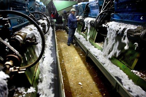 Süvari Tekstil Yönetim Kurulu Başkanı Ahmet Coşkun ise çileli, zahmetli ve emek yoğun bir üretim olan pamuğun, 30-40 yıl öncesine kadar sağladığı yüksek gelir nedeniyle yöre çiftçisinin ilk göz ağrısı, baş tacı olduğunu, ancak girdi maliyetlerinin artması nedeniyle Türkiye genelinde olduğu gibi Çukurova çiftçisinin de pamuktan her geçen yıl biraz daha uzaklaştığını bildirdi.