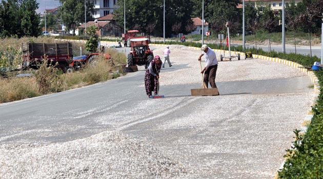 Bursa'nın İnegöl ilçesinde, üreticilerin ay çekirdeklerini kurutacak yer bulamamaları üzerine belediye meclisi kararıyla yaklaşık 10 kilometrelik çevre yolu, trafiğe kapatıldı.