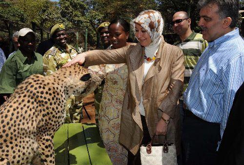 Cumhurbaşkanı Abdullah Gül, eşi Hayrünnisa Gül, Devlet Bakanı Said Yazıcıoğlu, Ulaştırma Bakanı Binali Yıldırım ve heyettekilerle Nairobi Ulusal Parkı'n çitaların bulunduğu kafese girdi ve çita sevdi...