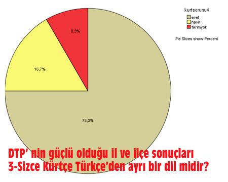 Kürt Sorunu anketi
