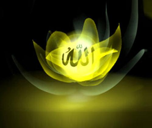 <p><strong> İMAN – İLİM – TEFEKKÜR</p>
<p>Ku’an-ı Kerim okumayı öğrenen ve onu başkalarına öğretmeye gayret edenleri Yüce Rabbimiz çok sever.</p>
<p>Allah, Kur’an-ı Kerim okumayı öğrenen ve onu başkalarına öğretmeye gayret edenleri Yüce Rabbimiz çok sever.</p>
<p>Allah’ın birliğine, onun meleklerine, Rabbimizin gönderdiği mukaddes kitaplara ve peygamberlere, öldükten sonra dirilmeye, olmuş ve olacak her şeyi Allah’ın bilip takdir ettiğine samimi bir gönülle inananları Yüce Mevla çok sever.</p>