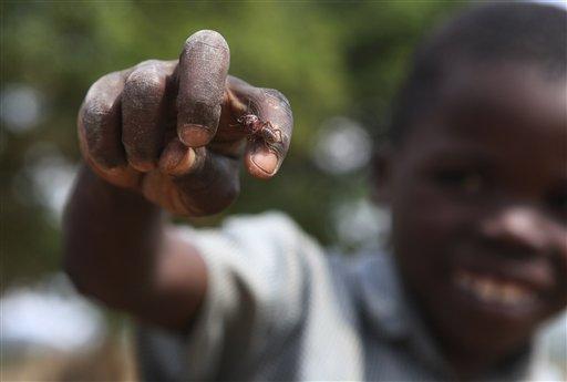 Zimbabve'de yaşam savaşı