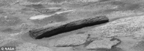 Mars'ta tahta bulundu asparagası!