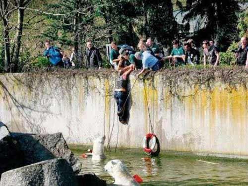 Hayvanat bahçesinde boz ayıların fotoğrafını çekmeye çalışan kadın ayıların içinde bulunduğu havuza düştü. Talihsiz kadın güçlükle kurtarılırken korku dolu anlar objektiflere böyle yansıdı: