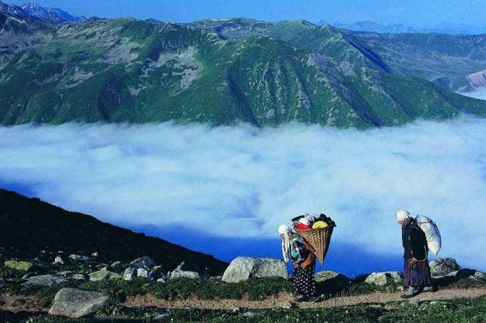 Rize<br><br>
Türkiye'nin doğa güzellikleri ile ünlenmiş şehri Rize'den bir resim