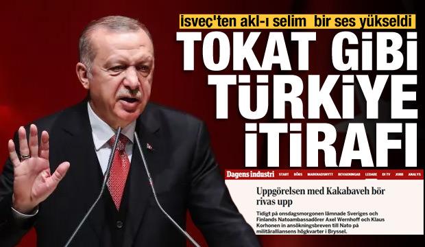 İsveçli gazeteci: Türkiye'nin karşıt tutumu haklı