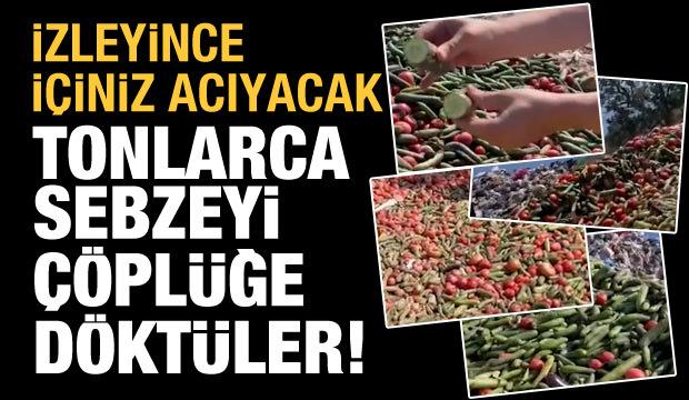 İçiniz hiç mi acımadı? Tonlarca taze sebzeyi çöplüğe döktüler!