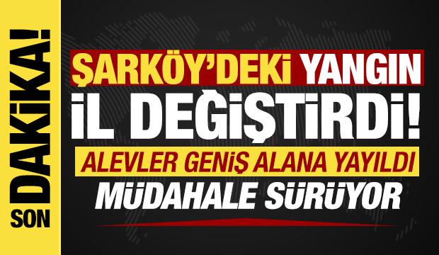 20. saate girildi: Tekirdağ'daki yangın geniş alana yayıldı! Müdahale sürüyor