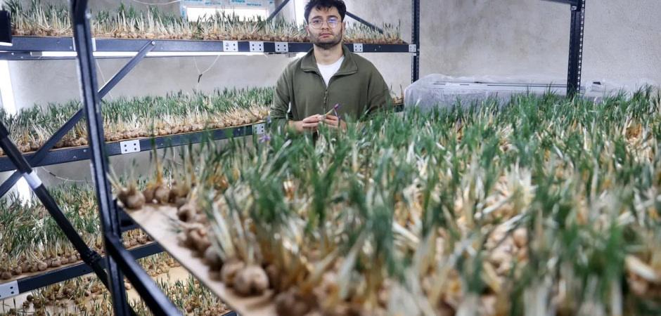 Deneme amaçlı kurdu! Yıllık kazancı 1 milyon TL!