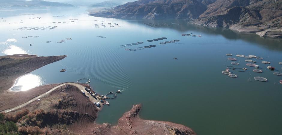 Denizi olmayan şehirden Japonya ve Avrupa'ya somon ihracatı