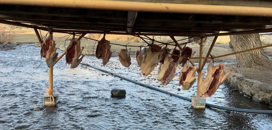 Sofraların vazgeçilmezi ocak ayına hazırlanıyor: Kilosu 2 bin liradan satılıyor